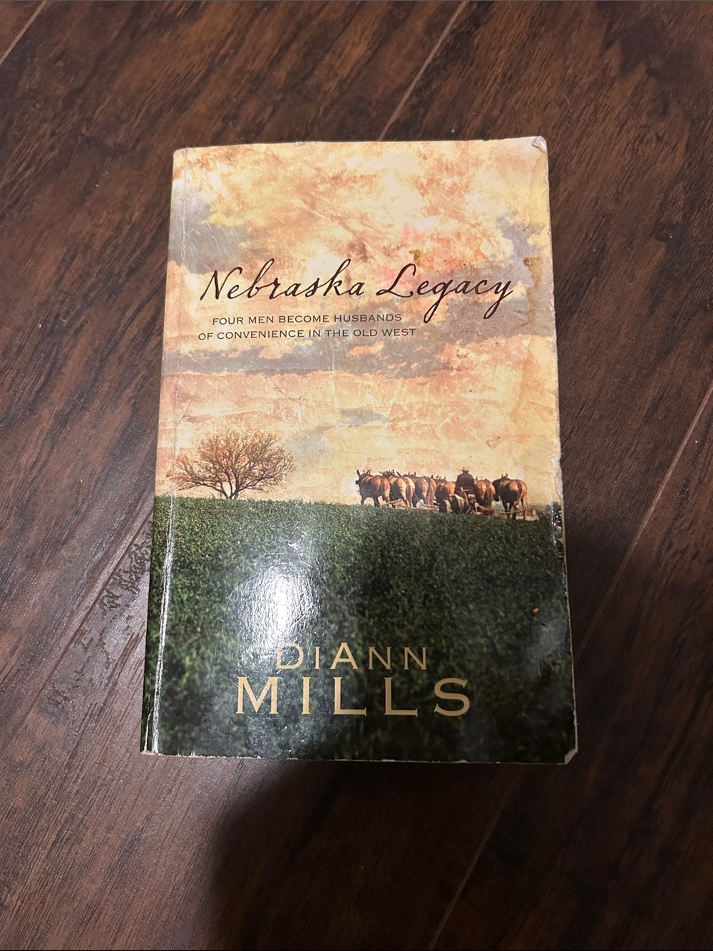 Nebraska Legacy by DiAnn Mills - Green and Tan Paperback